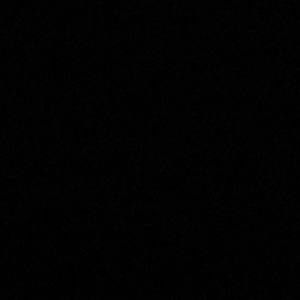 Meet your Posher, Lavondre